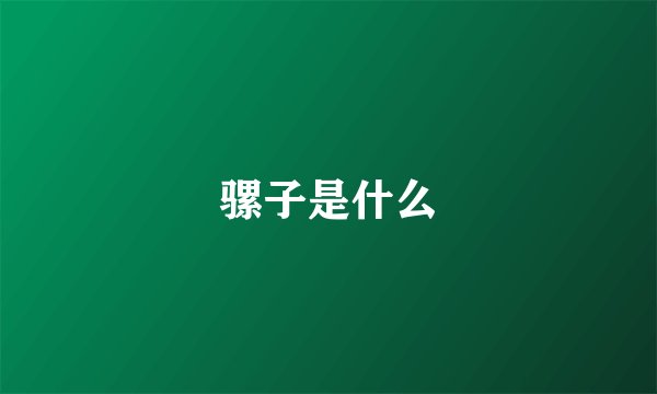 骡子是什么