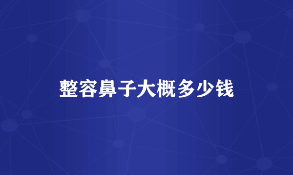 整容鼻子大概多少钱