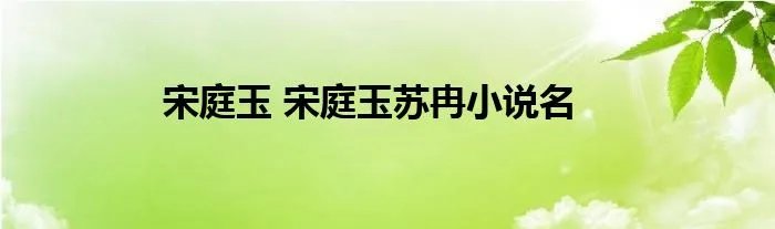 宋庭玉 宋庭玉苏冉小说名