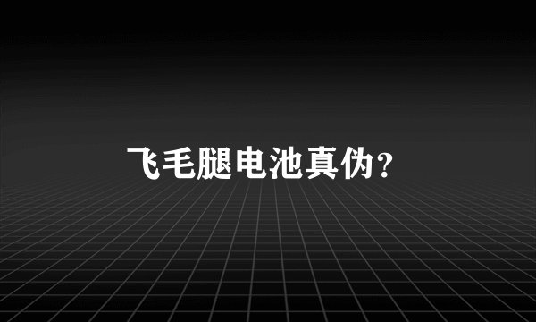 飞毛腿电池真伪？
