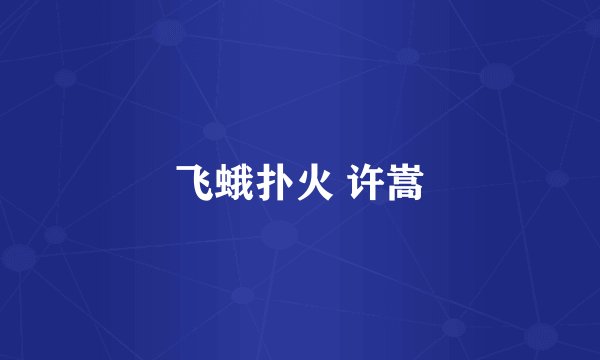 飞蛾扑火 许嵩