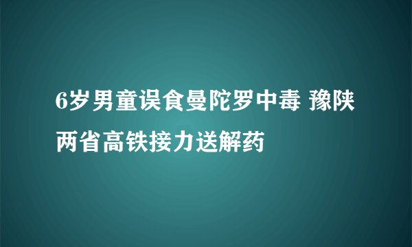 6岁男童误食曼陀罗中毒 豫陕两省高铁接力送解药