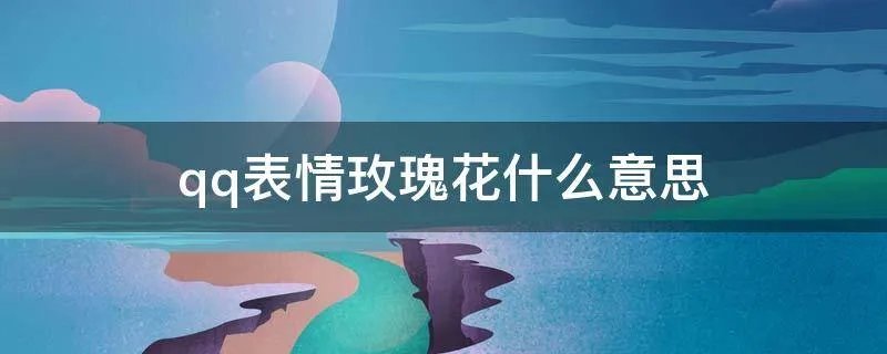 qq表情玫瑰花什么意思