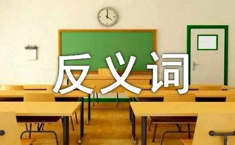 似乎反义词