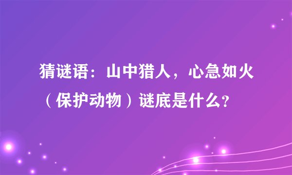 猜谜语:山中猎人,心急如火(保护动物)谜底是什么?