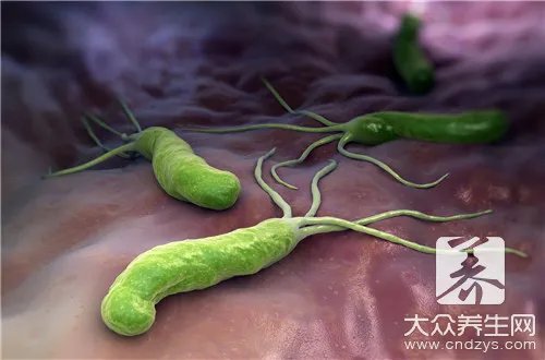 阳性和阴性是什么意思