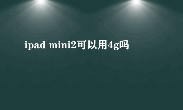 ipad mini2可以用4g吗