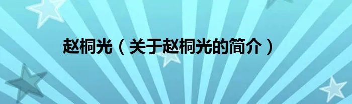 赵桐光（关于赵桐光的简介）
