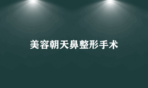 美容朝天鼻整形手术