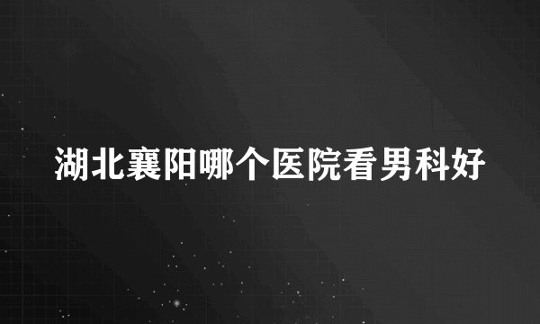 湖北襄阳哪个医院看男科好