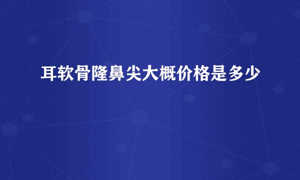 耳软骨隆鼻尖大概价格是多少