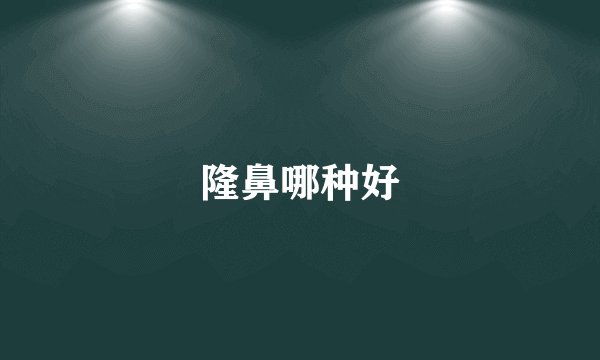 隆鼻哪种好