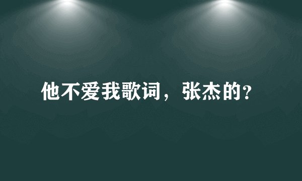 他不爱我歌词，张杰的？