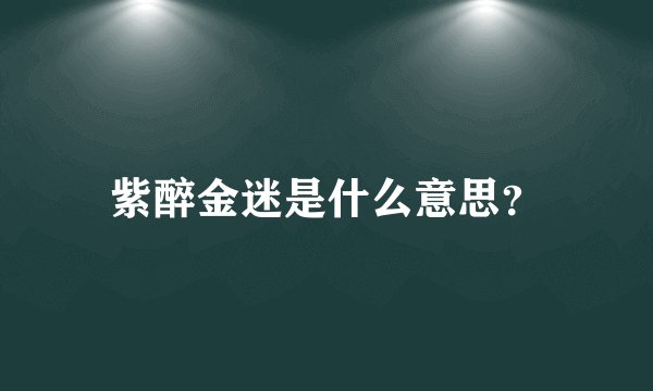 紫醉金迷是什么意思?