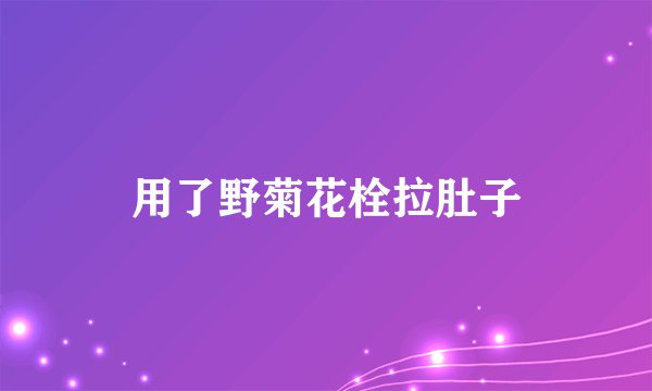 用了野菊花栓拉肚子
