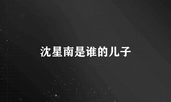 沈星南是谁的儿子