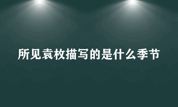 所见袁枚描写的是什么季节