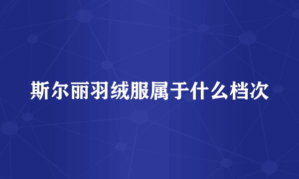 斯尔丽羽绒服属于什么档次