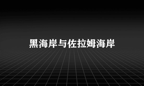 黑海岸与佐拉姆海岸