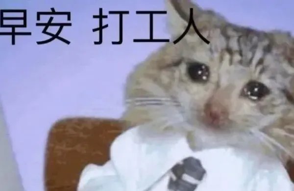 “打工人”是什么梗?