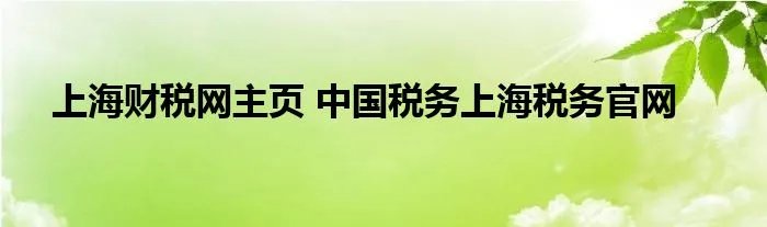 上海财税网主页 中国税务上海税务官网
