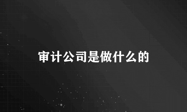 审计公司是做什么的