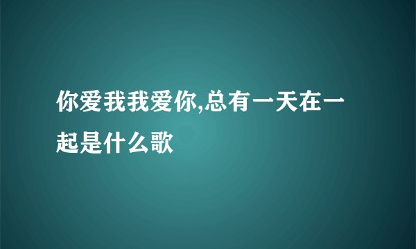你爱我我爱你,总有一天在一起是什么歌