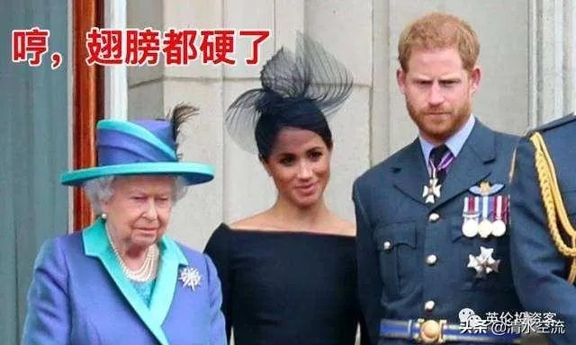 哈里王子夫妇退出王室是放弃王位继承权吗?还享受王室待遇吗?