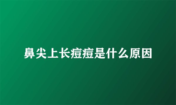 鼻尖上长痘痘是什么原因