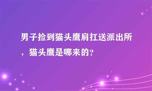 男子捡到猫头鹰肩扛送派出所，猫头鹰是哪来的？