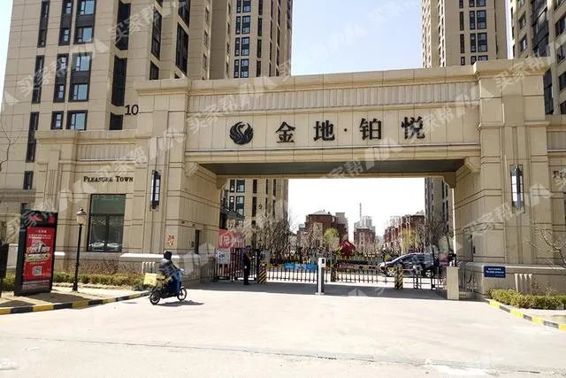 金地物业