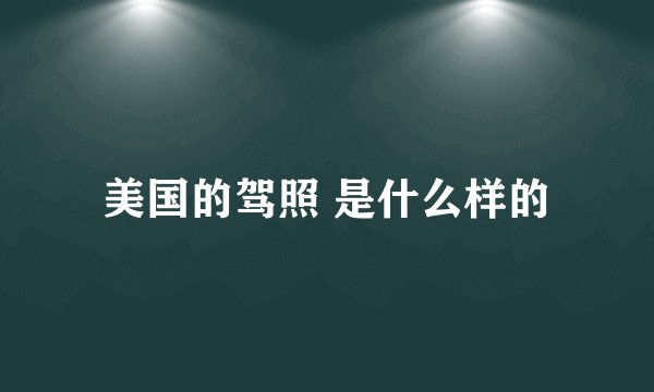 美国的驾照 是什么样的