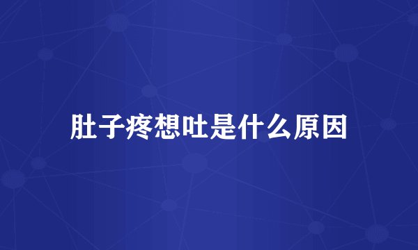 肚子疼想吐是什么原因