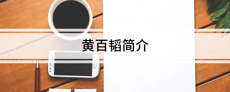 黄百韬简介