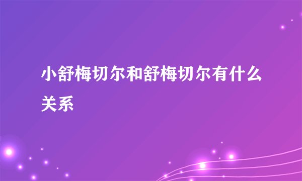 小舒梅切尔和舒梅切尔有什么关系