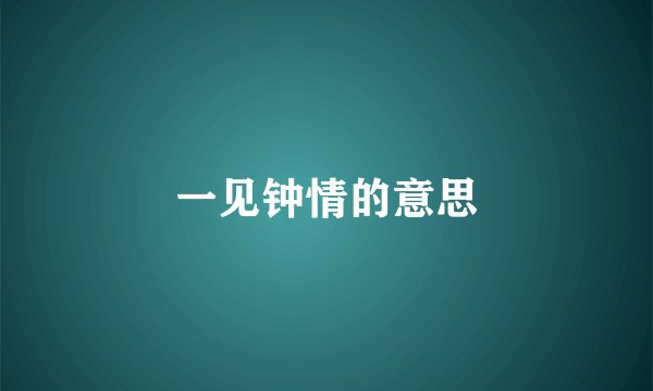 一见钟情的意思