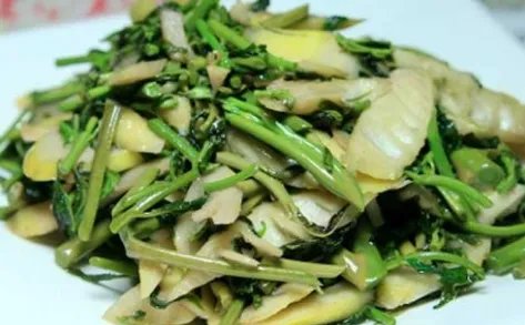 香椿怎么做好吃呢?