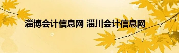 淄博会计信息网 淄川会计信息网