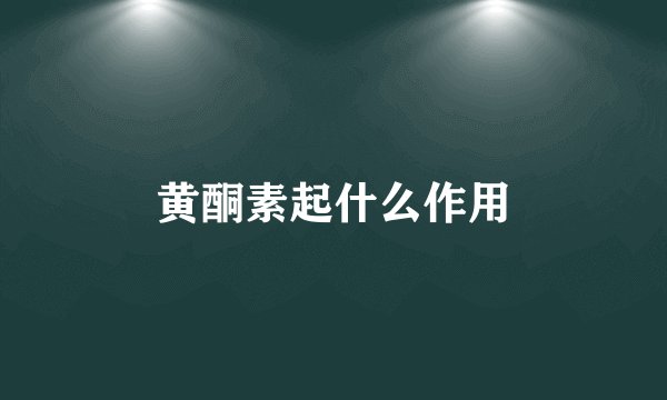 黄酮素起什么作用
