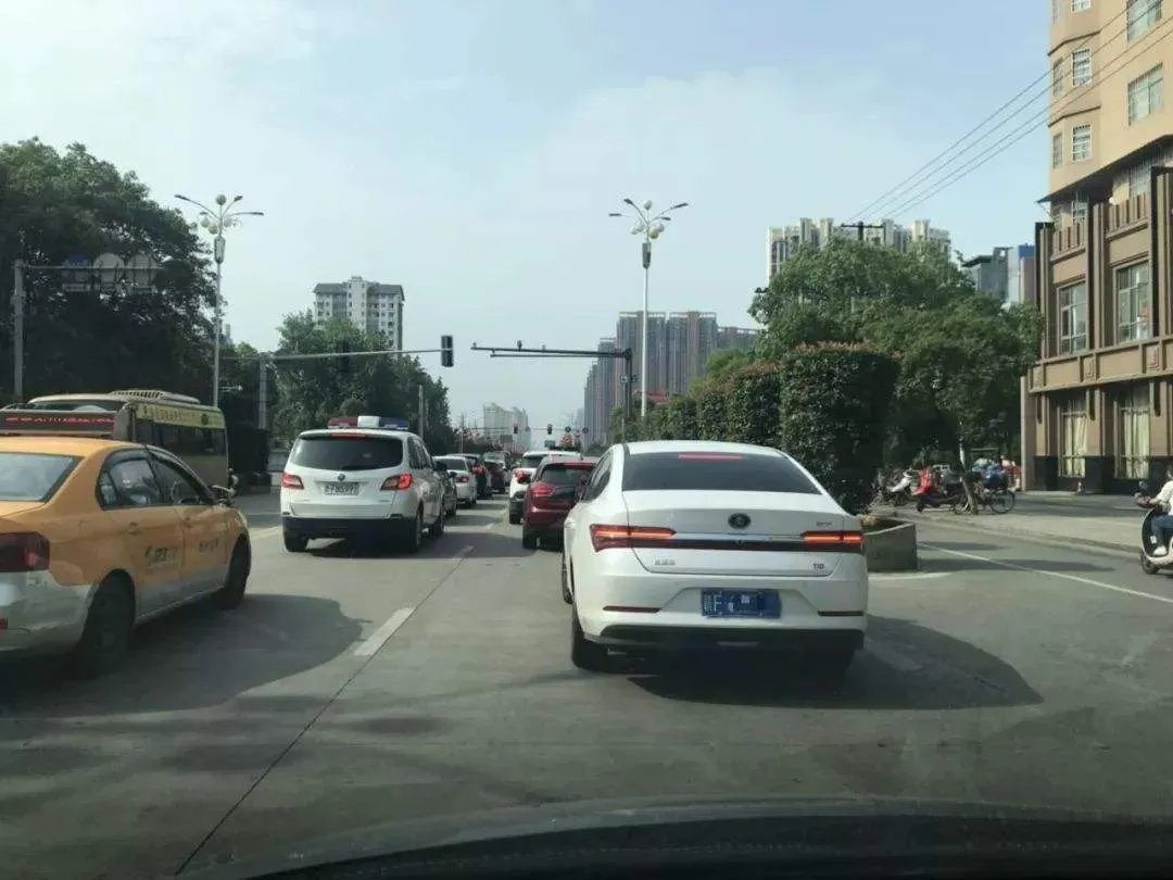 白岩松评豪车恶意别车事件,拘留者是否得到教训?