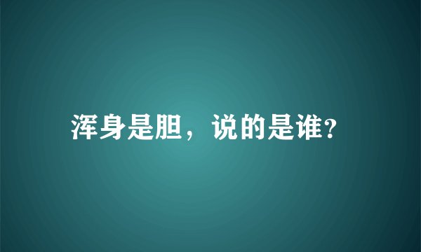 浑身是胆，说的是谁？