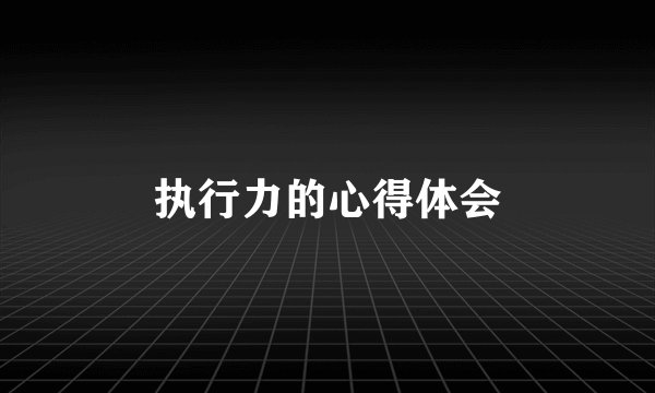 执行力的心得体会