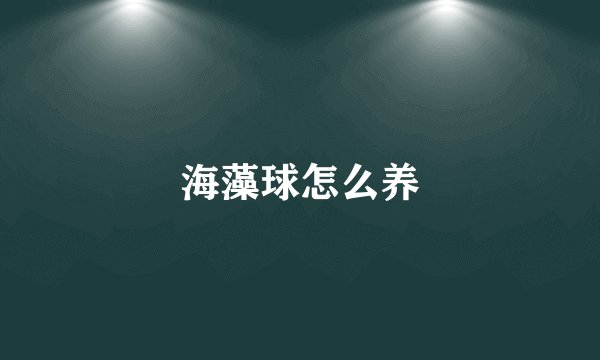 海藻球怎么养
