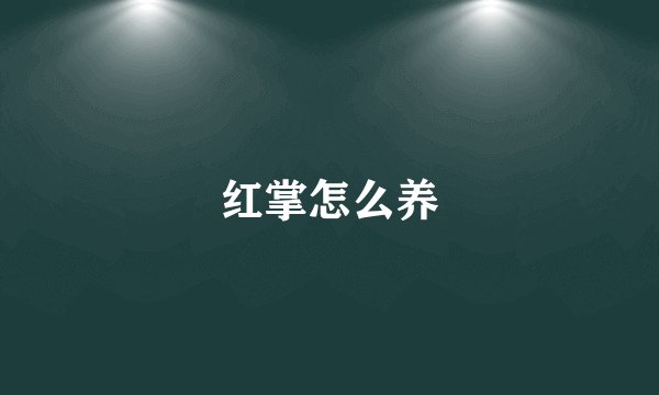 红掌怎么养