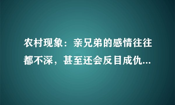 农村现象:亲兄弟的感情往往都不深,甚至还会反目成仇是为何?