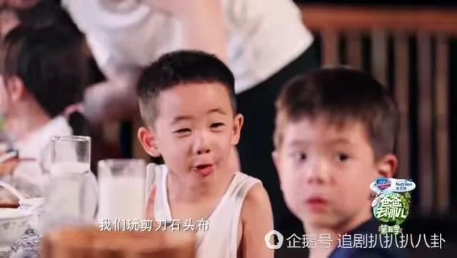 为什么这么多人喜欢Jasper?