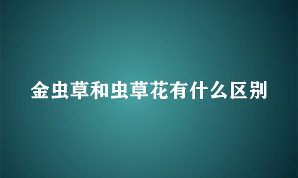金虫草和虫草花有什么区别