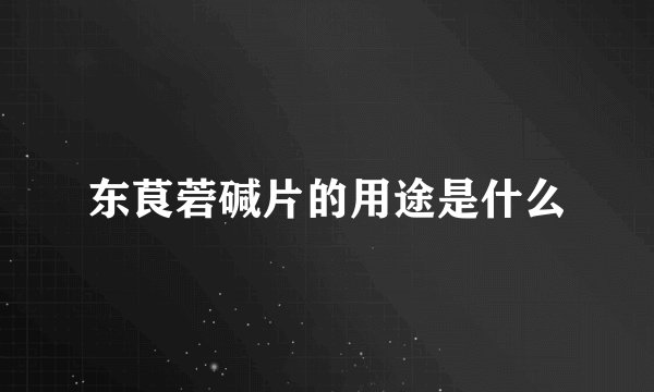 东茛菪碱片的用途是什么