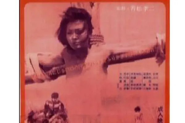 【图】日本成人电影排行榜 日本十大经典电影禁片推荐(2)