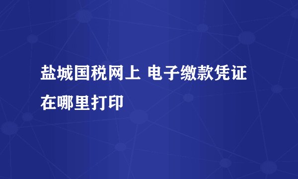 盐城国税网上 电子缴款凭证 在哪里打印